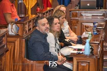  La lucha contra la lacra machista se sube al taxi en Telde/Francisco Javier Santana.